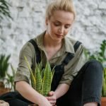 Home Founder Skip 01 150x150